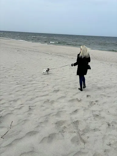 Dominika Madejczyk - Koci behawiorysta | Petsitter